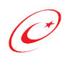 E-Government